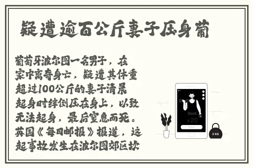 大菠萝福建导航