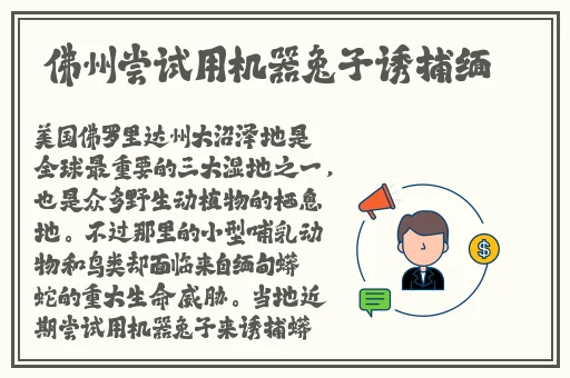 午夜dj视频免费直播