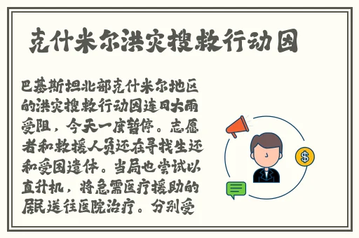 8x8x海外华人
